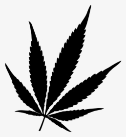 15 Marijuana Leaf Vector Png For Free Download On Mbtskoudsalg - Pot Leaf Png, Transparent Png, Transparent PNG