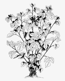 Leaf , Png Download - Leaf, Transparent Png, Transparent PNG