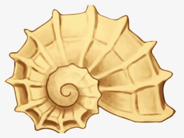 Yellow For Free Download - Clipart Seashell, HD Png Download, Transparent PNG