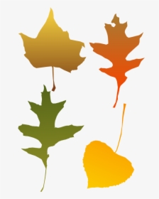 Scattered Leaves Autumn Vector - Autumn Leaf Clip Art, HD Png Download, Transparent PNG