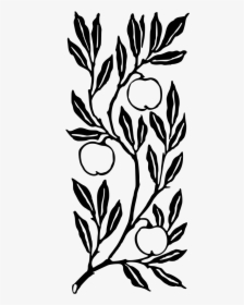 Fruit On A Branch, HD Png Download, Transparent PNG