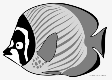 Bass Fish Png -tropical Black And - Fish Sea Creatures Clipart, Transparent Png, Transparent PNG