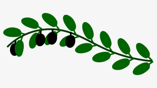 Plant,flora,leaf - Green Leaves Branch Clip Art, HD Png Download, Transparent PNG
