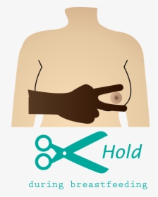 Scissor Method In Breastfeeding, HD Png Download, Transparent PNG