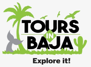 Tours In Baja - Baja Tours, HD Png Download, Transparent PNG