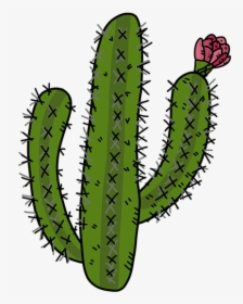 Cactus, Desert Plants, Cactus Rose, Prickly, Mexico - Cactus Illustration Png, Transparent Png, Transparent PNG
