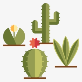 Become Part Of A Community Of Practitioners - Hedgehog Cactus, HD Png Download, Transparent PNG