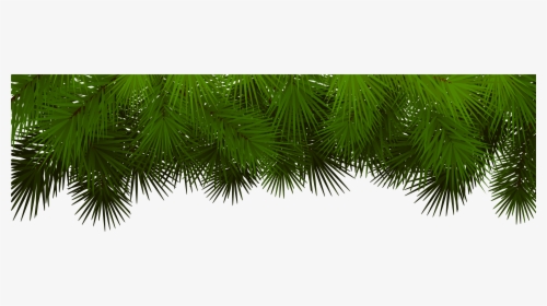 Pine Branches For Decoration Christmas Tree Branch - Christmas Pine Branch Png, Transparent Png, Transparent PNG
