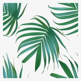Sticker Tapisserie Tropicale Feuilles De Palmiers Ambiance - Tapisserie Feuille De Palmier, HD Png Download, Transparent PNG