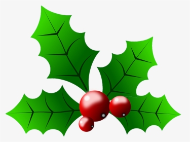 Common Holly Christmas Clip Art - Holly And Berries Clip Art, HD Png Download, Transparent PNG