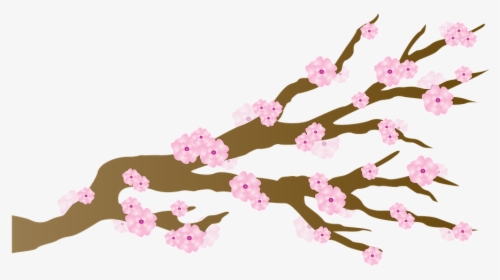 Sakura Png - Japanese Cherry Blossom Tree Cartoon, Transparent Png, Transparent PNG