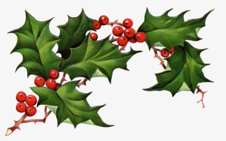Christmas Holly Png Christmas Clipart Holly The Best - Holly Png, Transparent Png, Transparent PNG