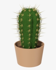 Cactus Png Image - Кактус Png, Transparent Png, Transparent PNG