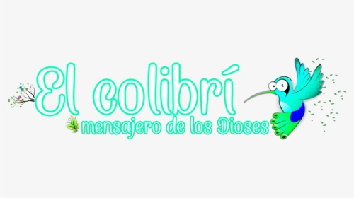 El Colibrí - Cartoon Hummingbird, HD Png Download, Transparent PNG