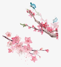 Cherry Blossom PNG Images, Transparent Cherry Blossom Image ...