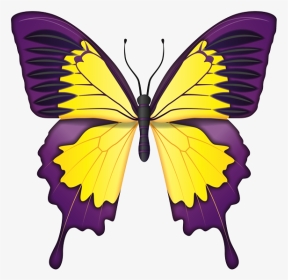 Blue Butterfly Images Natural, HD Png Download, Transparent PNG
