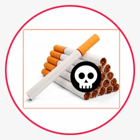 Uses Of Tobacco, HD Png Download, Transparent PNG