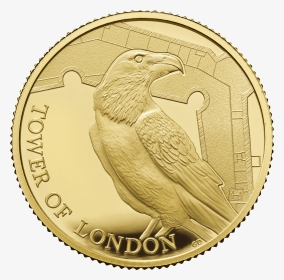 Five Pounds Gold 2019 Ravens, HD Png Download, Transparent PNG