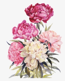 Bouquet Vector Watercolor - Watercolor Peony Drawing, HD Png Download, Transparent PNG