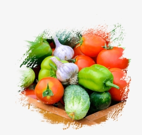 Fresh Fruit & Vegetables Supplier, Distributors In - Fresh Vegetables Pics Png, Transparent Png, Transparent PNG