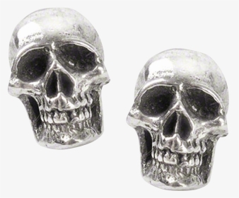 Mortuarium Skull Stud Earrings - Skull Earring Png, Transparent Png, Transparent PNG