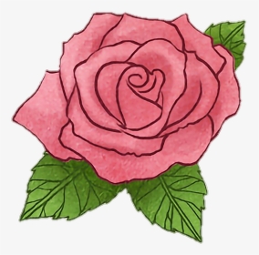 #rose #flower #littleprince #story #drawing #watercolor - Floribunda, HD Png Download, Transparent PNG