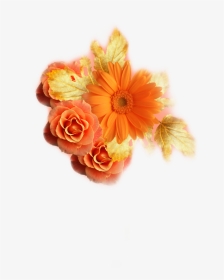 Floral Frame, HD Png Download, Transparent PNG