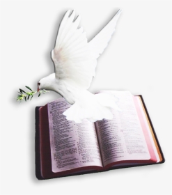 Archivo Del Blog <- Bible And Dove Png , Png Download - Bible And Dove Png, Transparent Png, Transparent PNG