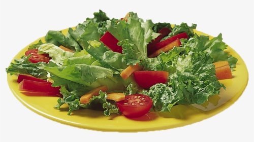 Free Png Vegetable Salad Png Png Images Transparent - Salad, Png Download, Transparent PNG