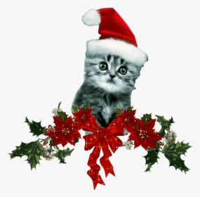 Chats De Noel Images - Christmas Decoration Animated Gif, HD Png Download, Transparent PNG