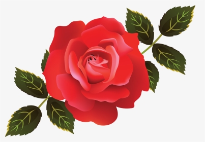 Illustrator Roses, HD Png Download, Transparent PNG