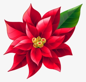 Poinsettia Png Photo - Transparent Background Poinsettia Clipart, Png Download, Transparent PNG