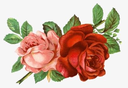 Flower Clipart Floral Roses - Vintage Roses, HD Png Download, Transparent PNG