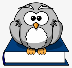 Cartoon Bird Colouring Pages, HD Png Download, Transparent PNG
