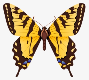 Butterfly Tiger Swallowtail, HD Png Download, Transparent PNG