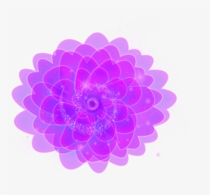 情人节浪漫唯美炫酷紫色荧光花卉效果元素高清图 - Fluorescence, HD Png Download, Transparent PNG