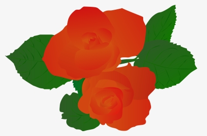 Illustration Illustrator Plant Rose Hand Drawn Red - Garden Roses, HD Png Download, Transparent PNG