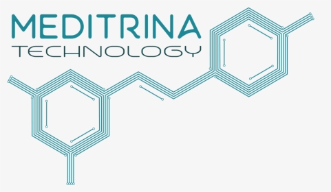 Meditrina Tech Logo Big - Graphic Design, HD Png Download, Transparent PNG