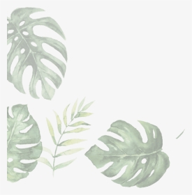Illustration Of Leaves - Illustration, HD Png Download, Transparent PNG