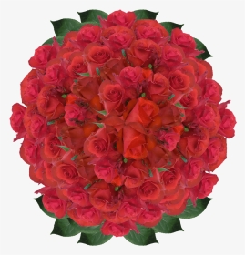 Red Roses Wholesale Blood Red Rose Flowers Order Roses - Floribunda, HD Png Download, Transparent PNG