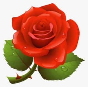 #rose #flower #redrose #raindrops - Clipart Picture Of Rose, HD Png Download, Transparent PNG