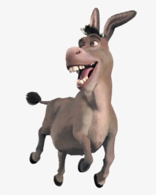 The Essential Guide (800x954), Png Download - Donkey Shrek, Transparent Png, Transparent PNG