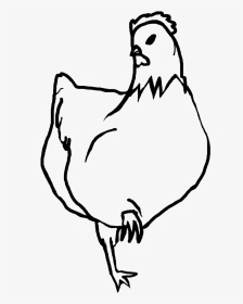 Chicken Lineart By Ipaddoodler On Clipart Library - Chicken Line Art, HD Png Download, Transparent PNG