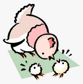 Vector Illustration Of Cartoon Mother Chicken With - Mis Pollitos, HD Png Download, Transparent PNG
