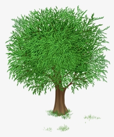 Spring Season Tree Clipart, HD Png Download, Transparent PNG