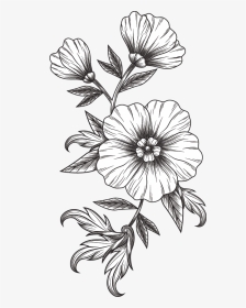 Black And White Flower, HD Png Download, Transparent PNG