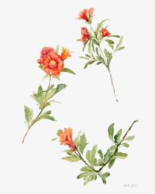 Kisspng Watercolour Flowers Floral Design Watercolor - Watercolor Painting, Transparent Png, Transparent PNG