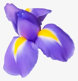 Clipart Of Iris Flower Clip Transparent Stock Purple - Iris Flower Clip Art, HD Png Download, Transparent PNG