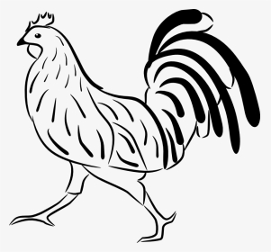 Clipart - Rooster - Petelin Pobarvanka, HD Png Download, Transparent PNG