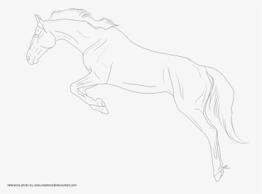 Horse Lineart Favourites By Lettersfromhere On Deviantart - Jumping Horse Line Art, HD Png Download, Transparent PNG
